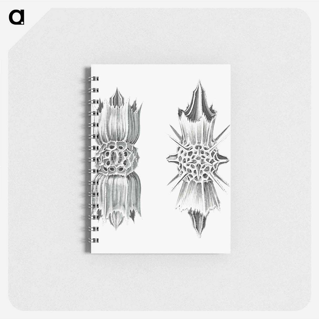 アートメモ帳-Vintage marine life illustration on white background - エルンスト ヘッケル Memo.
