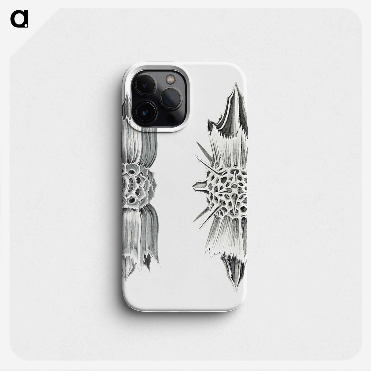 3-49_Ernst-Haeckel_phone
