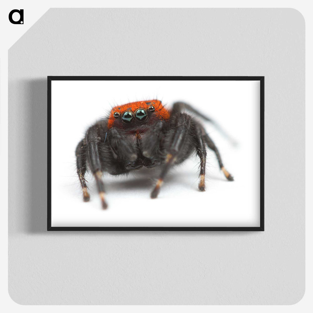 3-49_Insects-Unlocked-Project_blk-crop