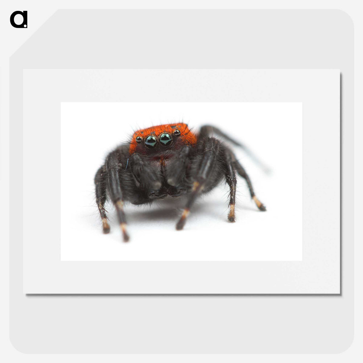 3-49_Insects-Unlocked-Project_picture