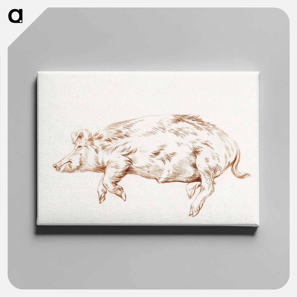 アートパネル-Lying pig - ジャン ベルナール Canvas.