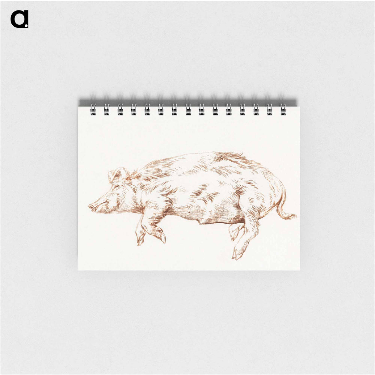 Lying pig - ジャン ベルナール Memo.