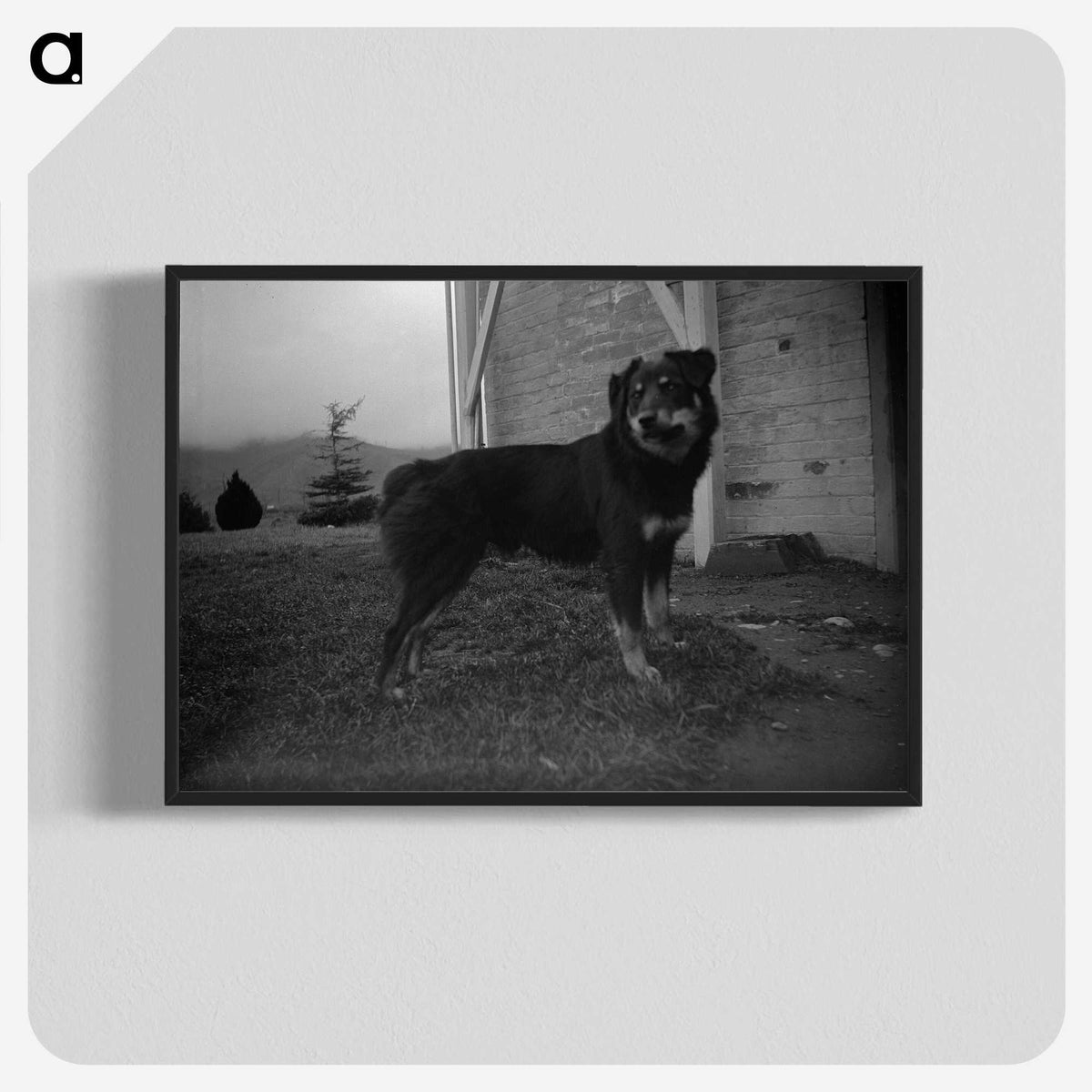 3-49_Leslie-Adkin_blk-crop