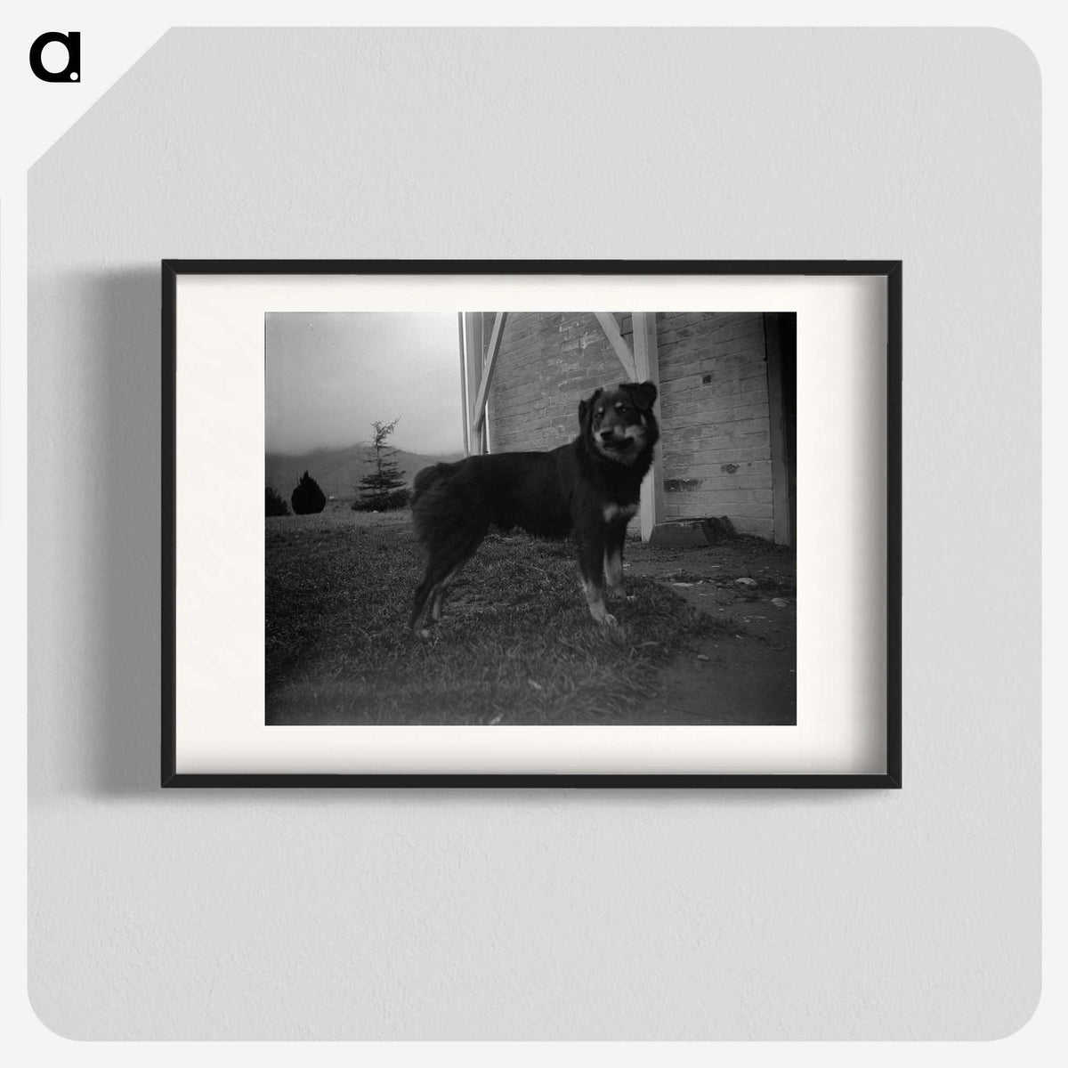 3-49_Leslie-Adkin_blk