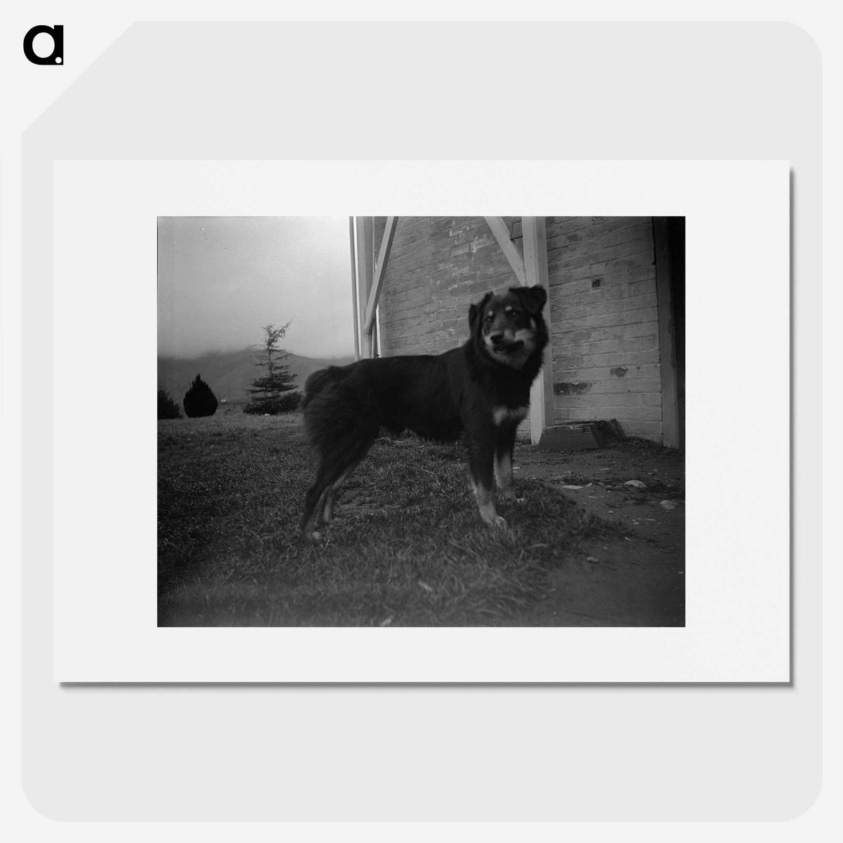 3-49_Leslie-Adkin_picture