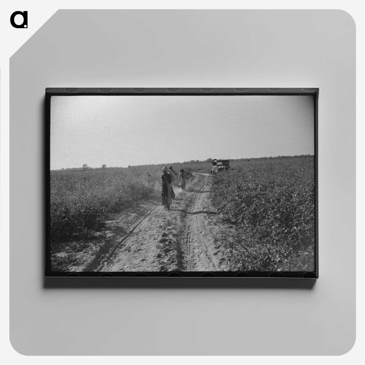 3-49_Marion-Post-Wolcott_canvas