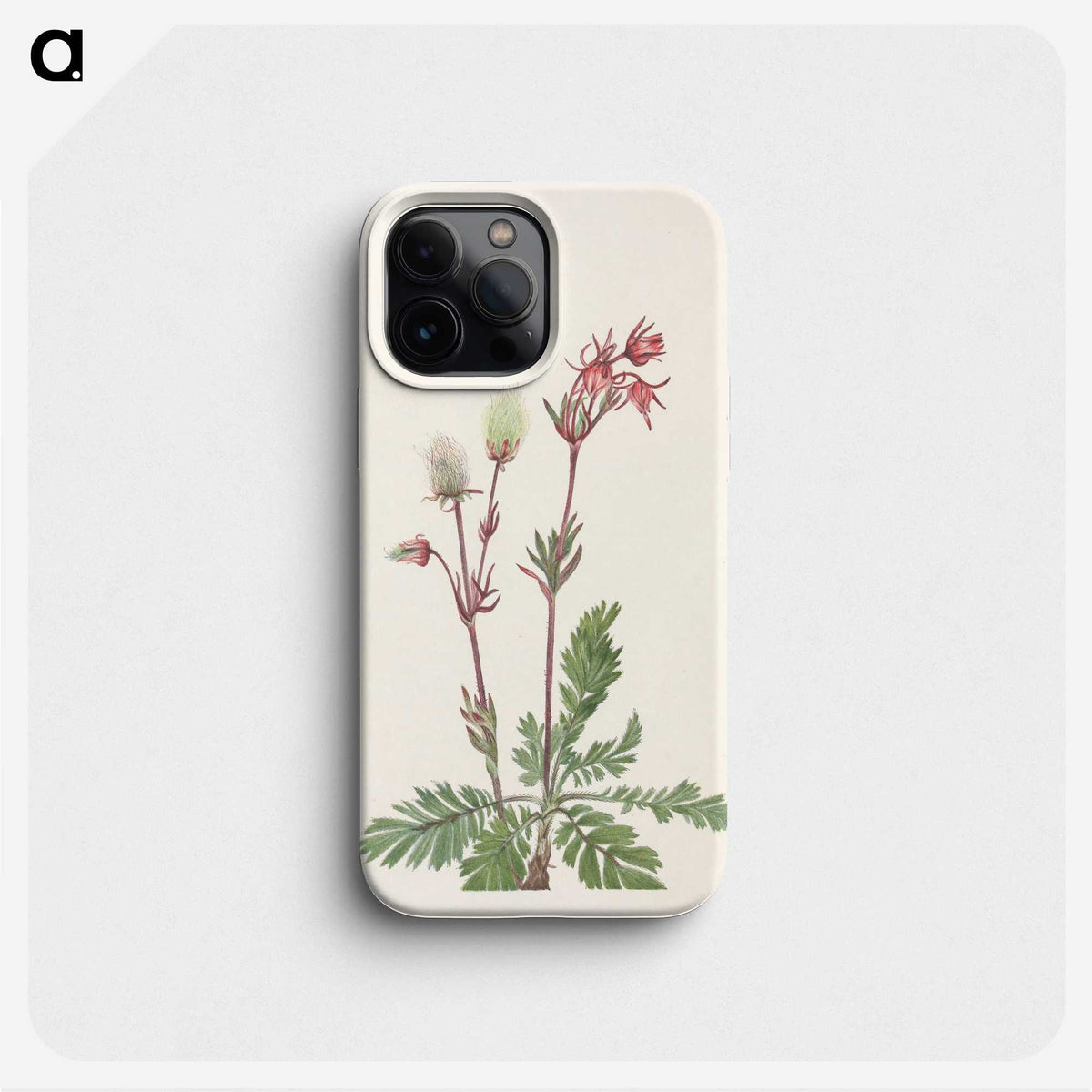 3-49_Mary-Vaux-Walcott_phone