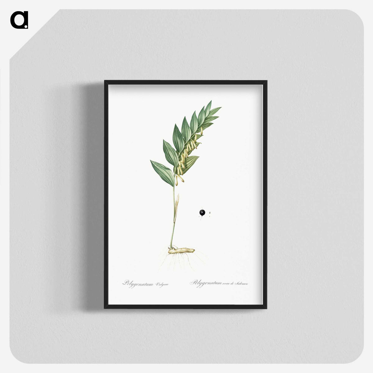 3-49_The-Lilies_blk-crop