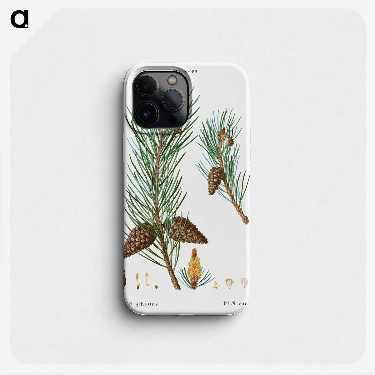 3-49_Treatise-on-Trees-and-Shrubs_phone