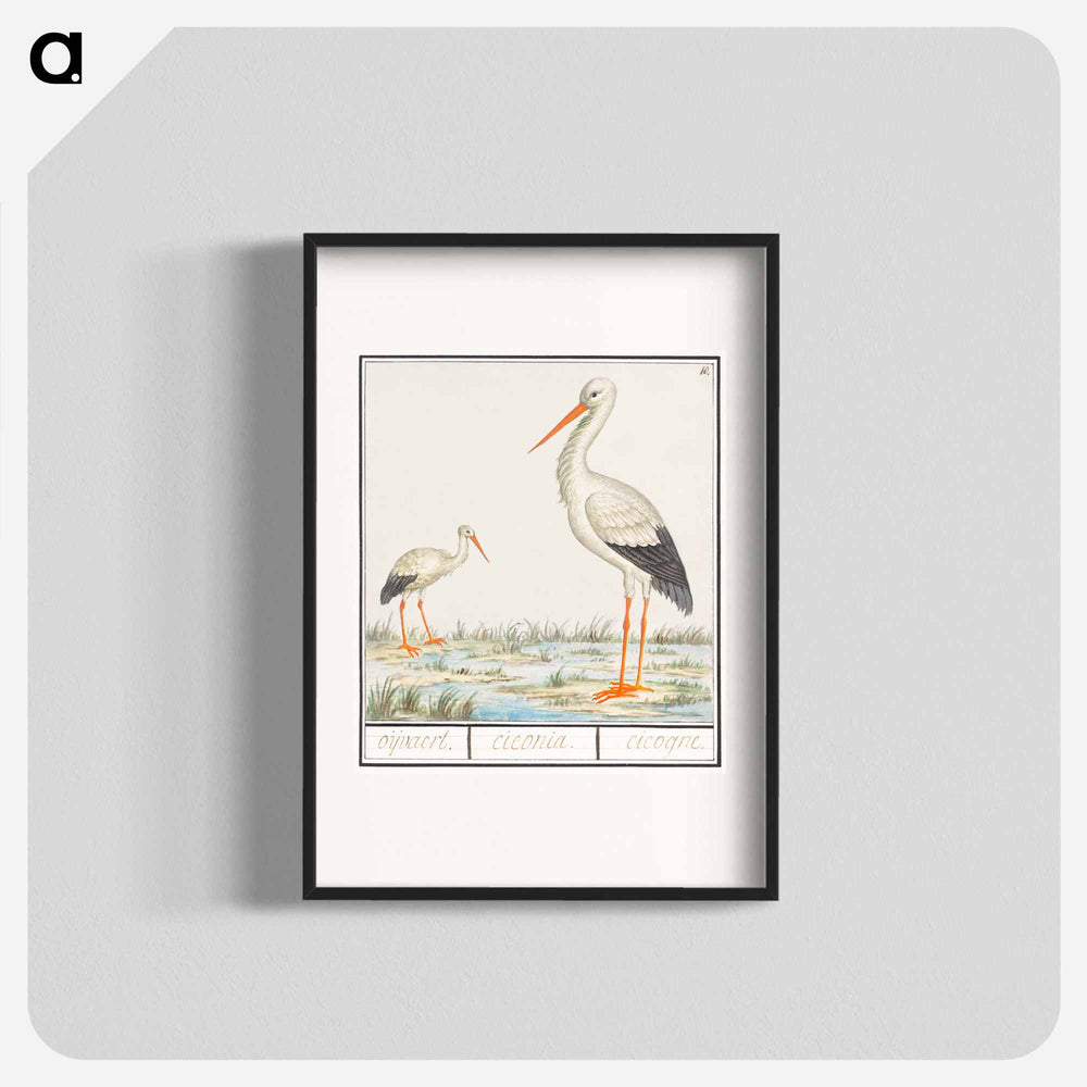The Stork - アンセルムス ボエティウス デ ブート Poster.