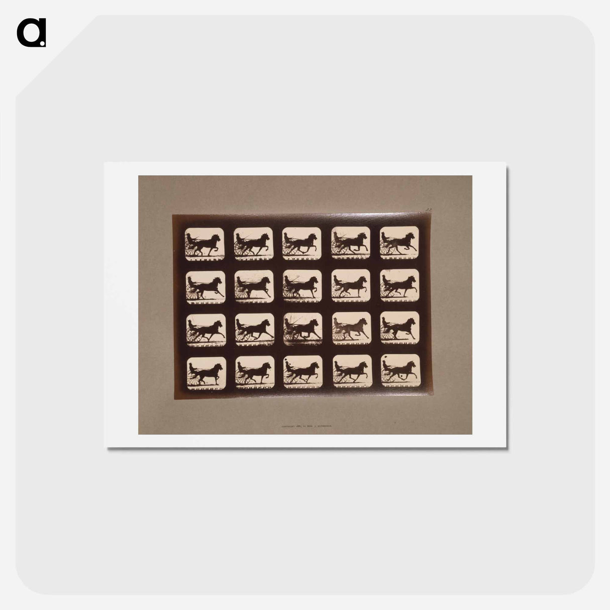 アートポストカード-Pacing Horses
- エドワード マイブリッジ Postcard.
