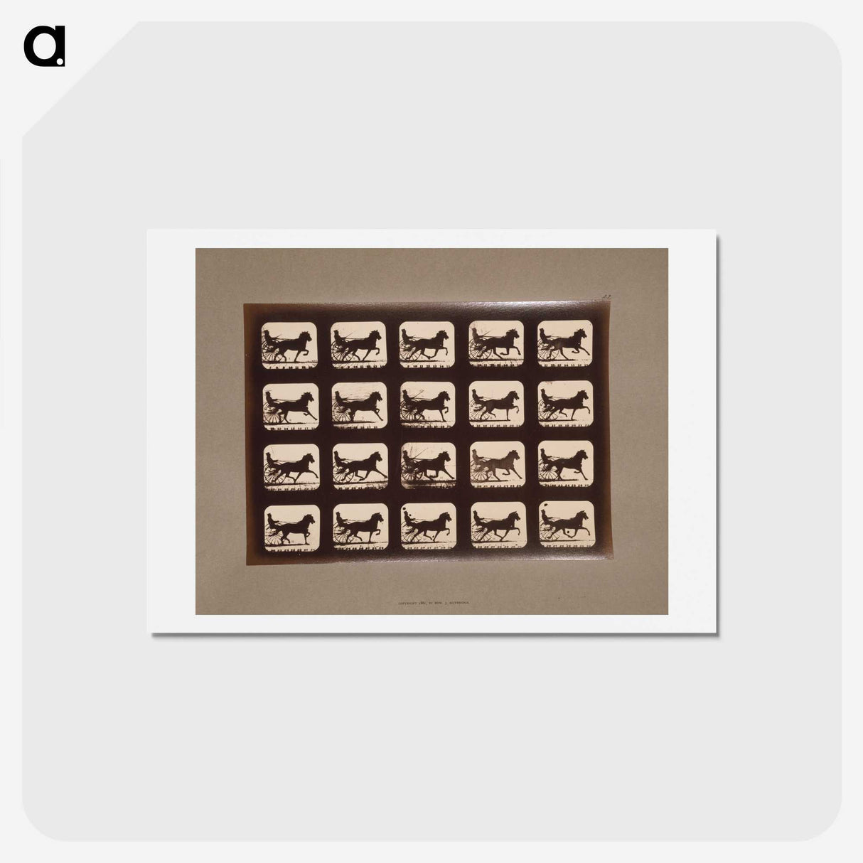 3-4_Eadweard-Muybridge_hagaki