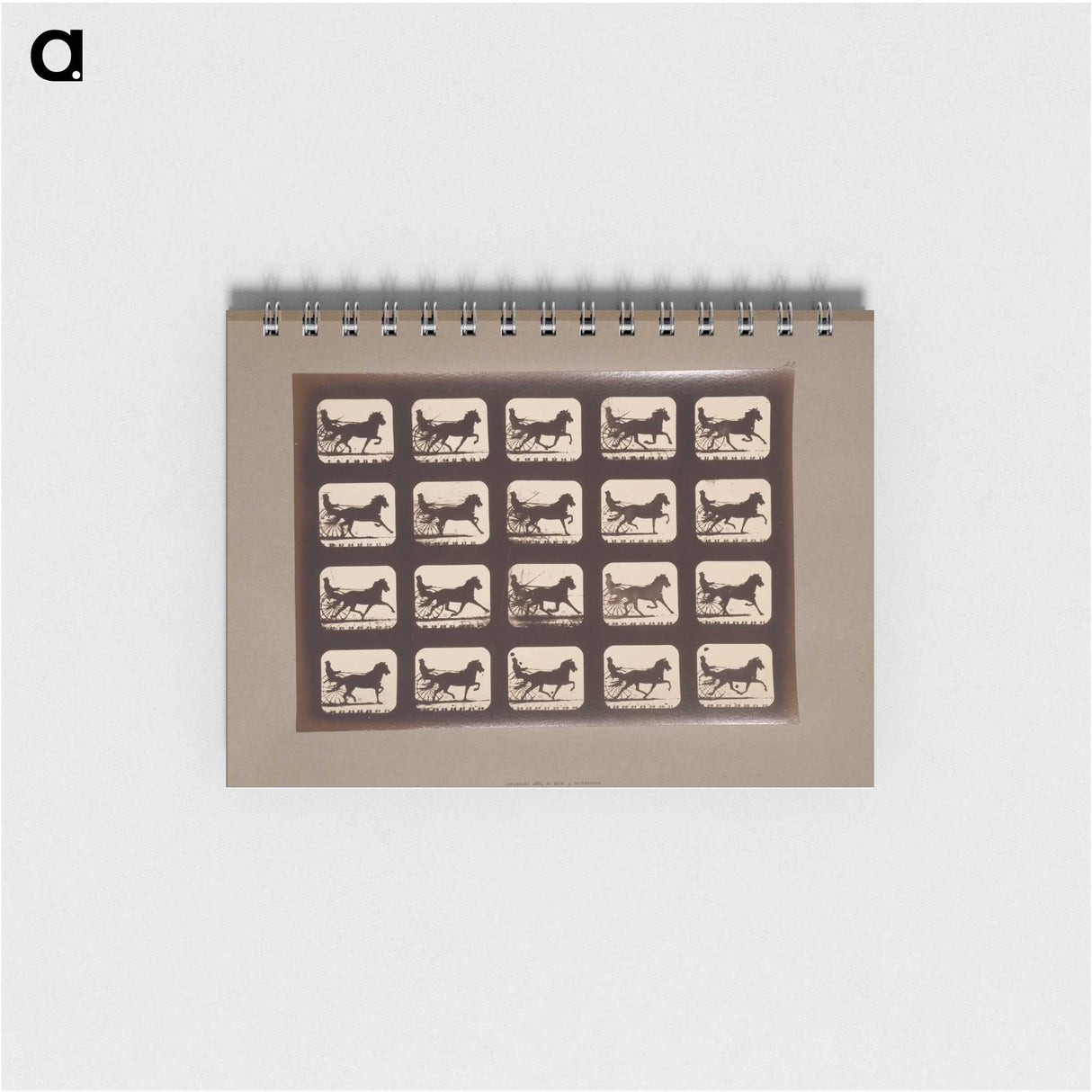 3-4_Eadweard-Muybridge_memo