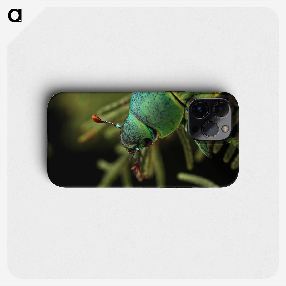3-4_Insects-Unlocked-Project_phone
