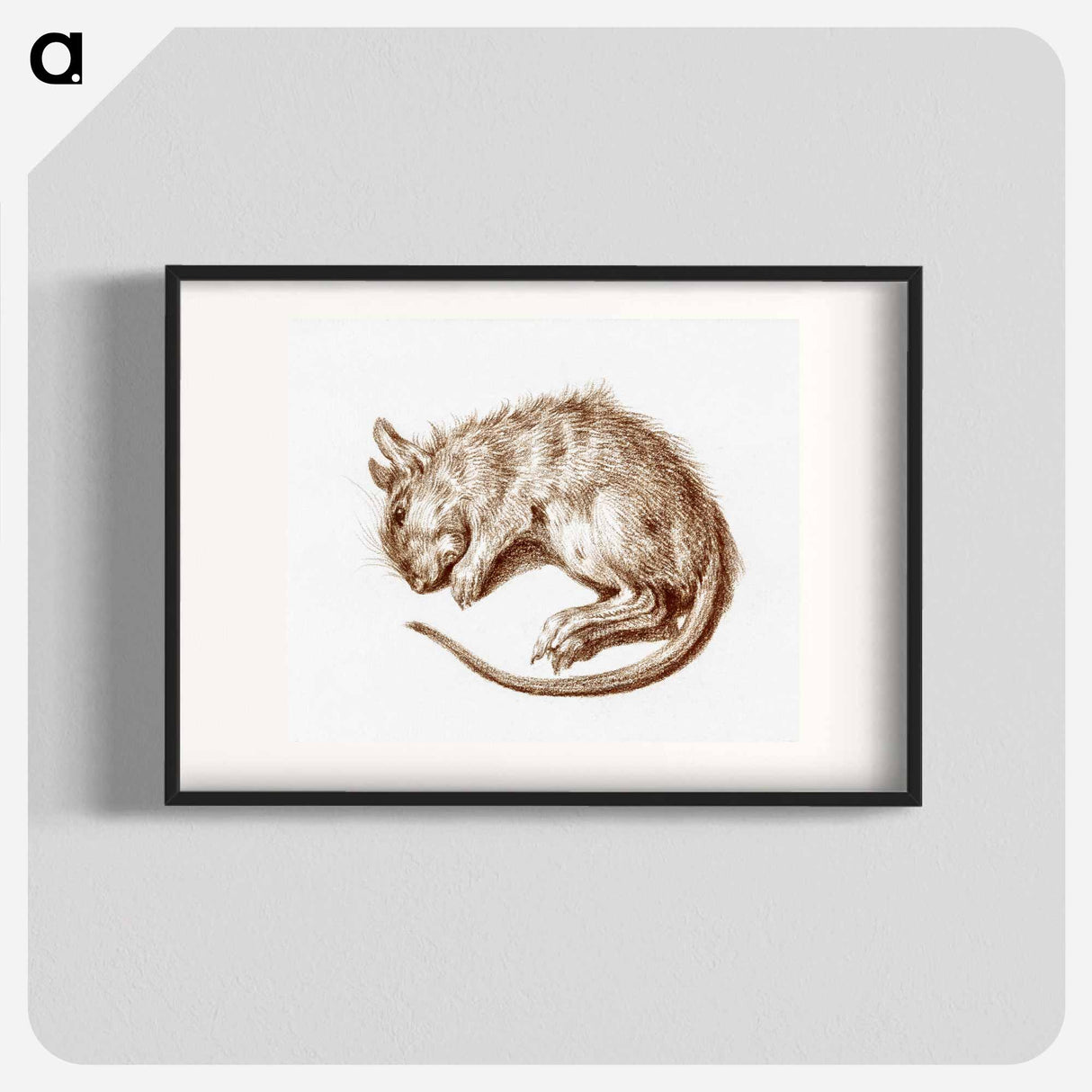 Dead rat - ジャン ベルナール Poster.