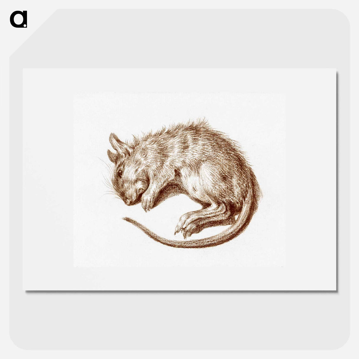 Dead rat - ジャン ベルナール Poster.