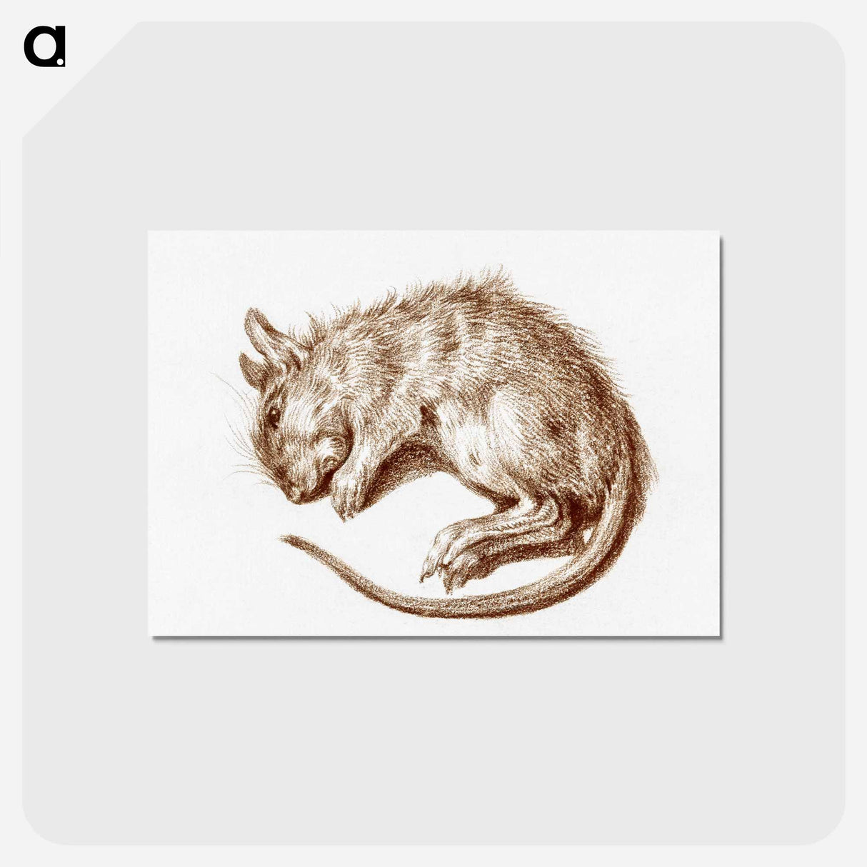アートポストカード-Dead rat - ジャン ベルナール Postcard.