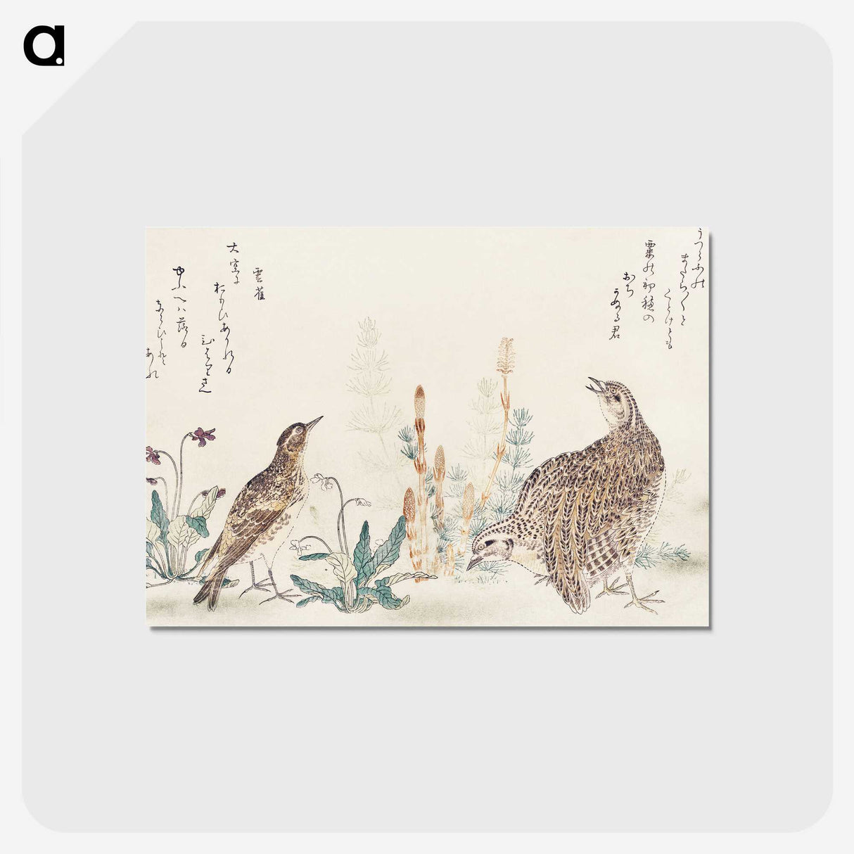 3-4_Kitagawa-Utamaro_postcard
