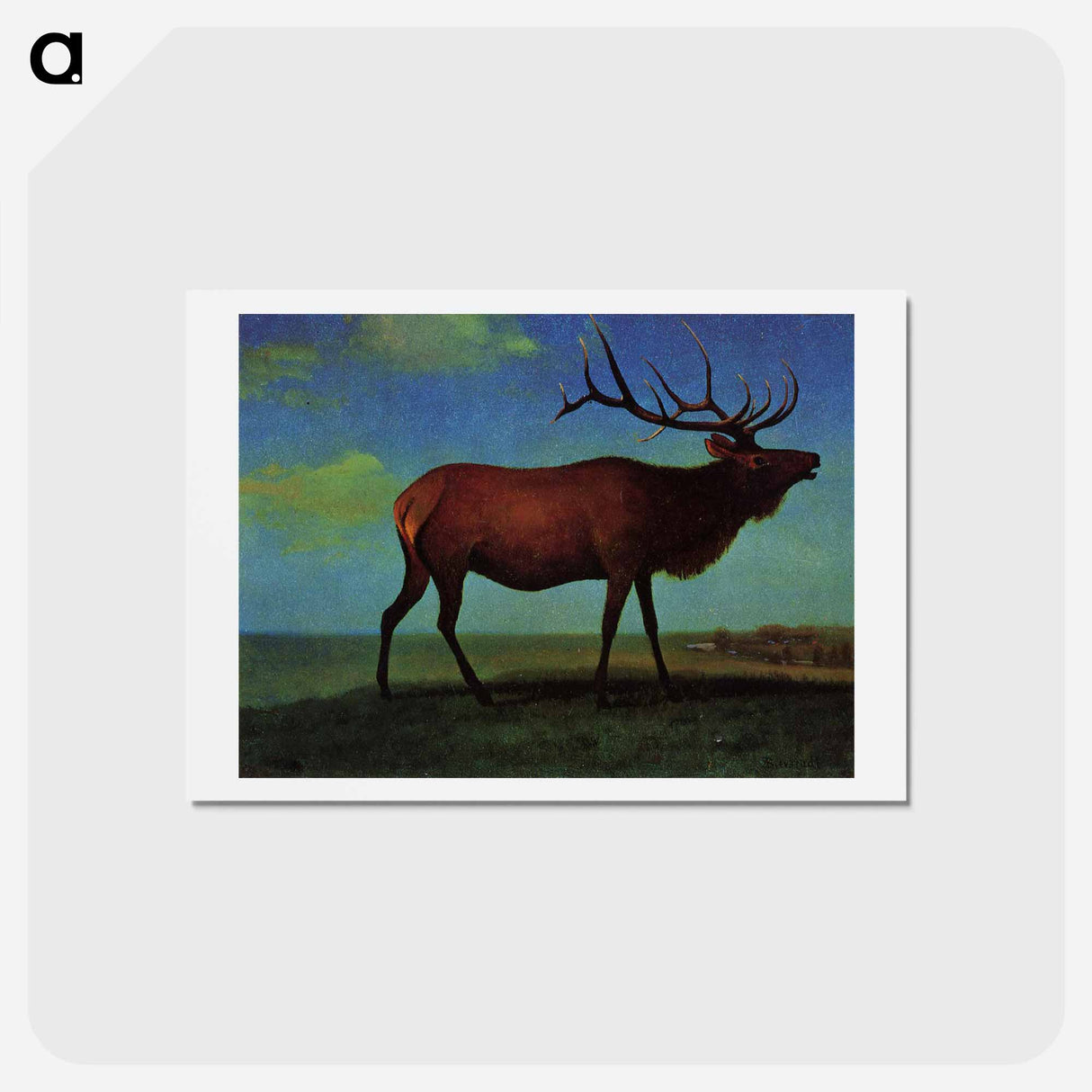 Elk - アルバート ビアスタット Postcard.