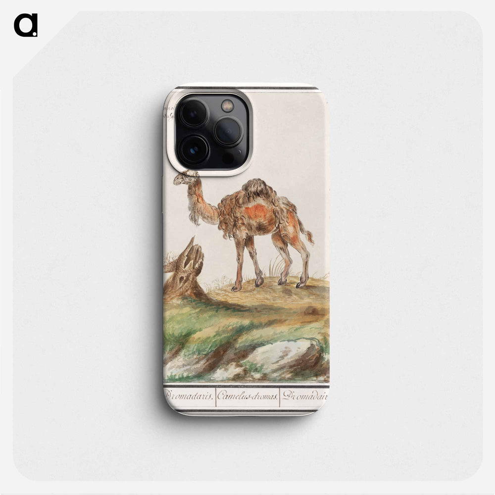Dromedary - アンセルムス ボエティウス デ ブート Phone Case.