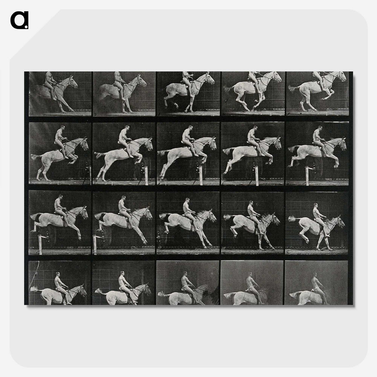 3-50_Eadweard-Muybridge_picture-crop