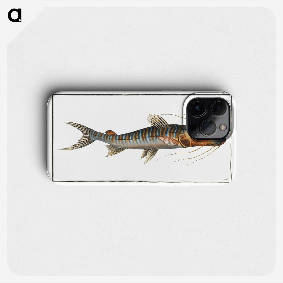 3-50_Ichtyologie-ou-Histoire-naturelle_phone