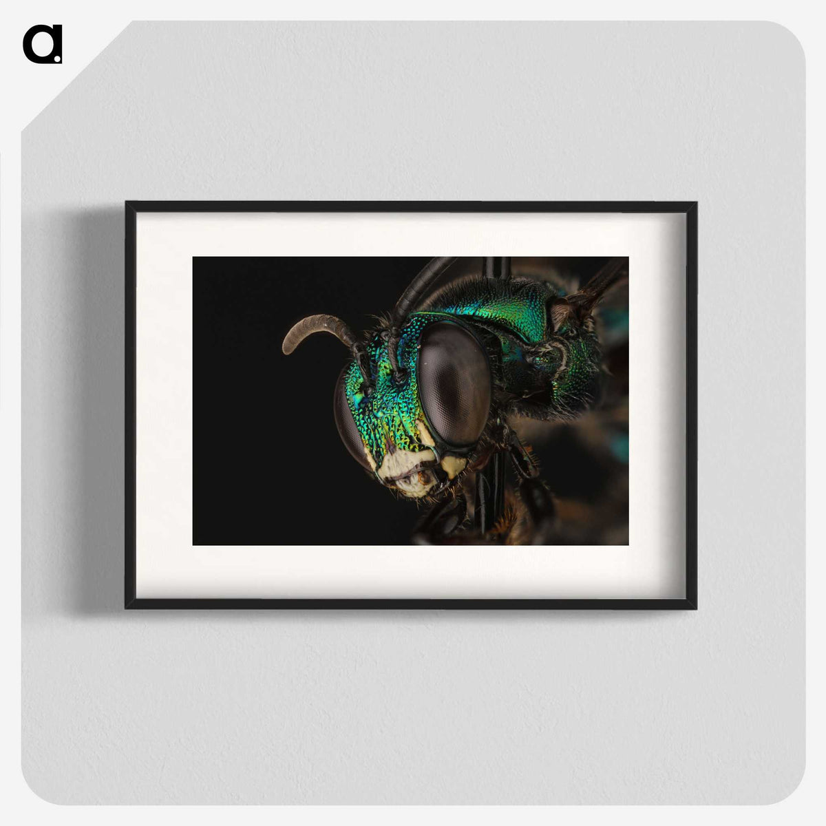 3-50_Insects-Unlocked-Project_blk