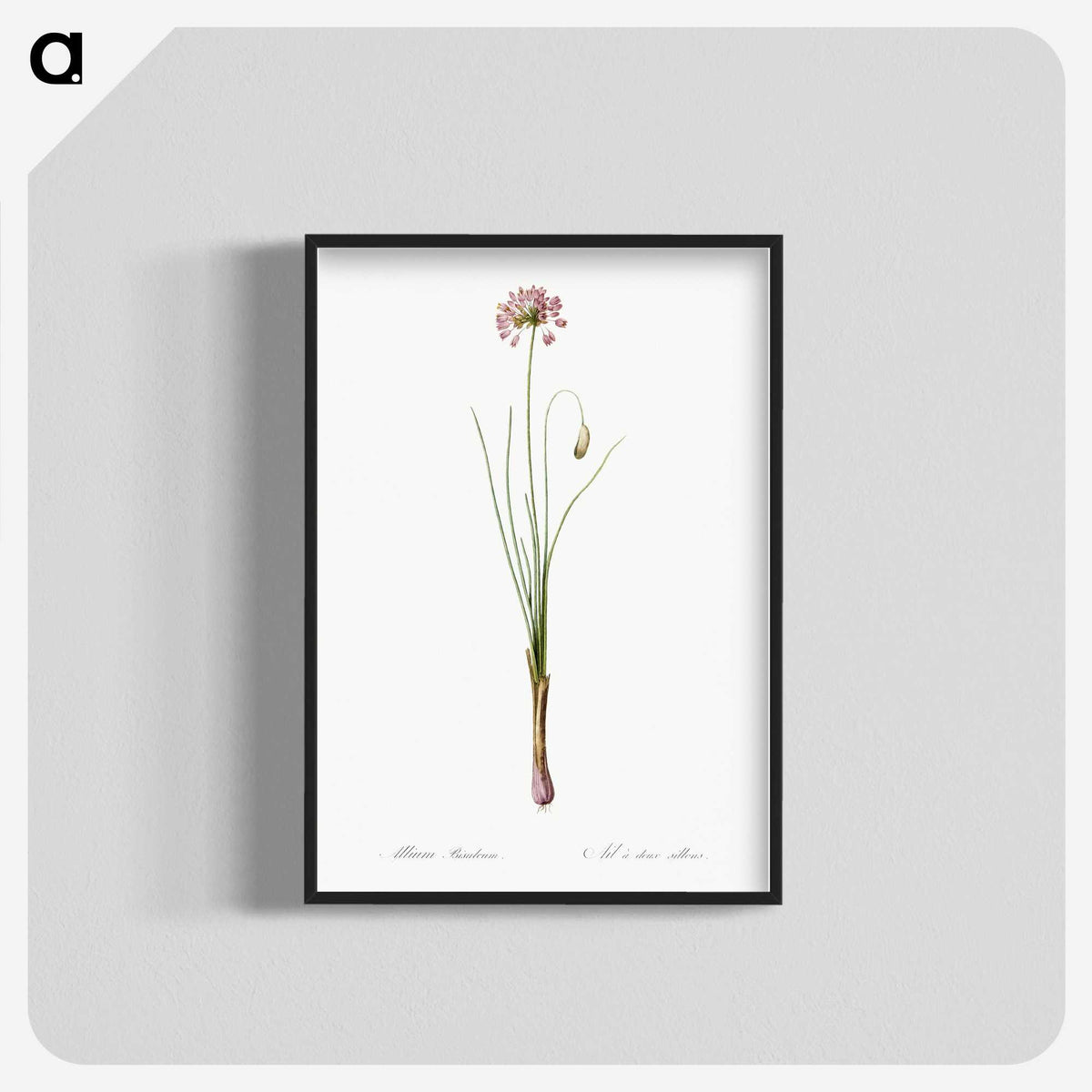 3-50_The-Lilies_blk-crop