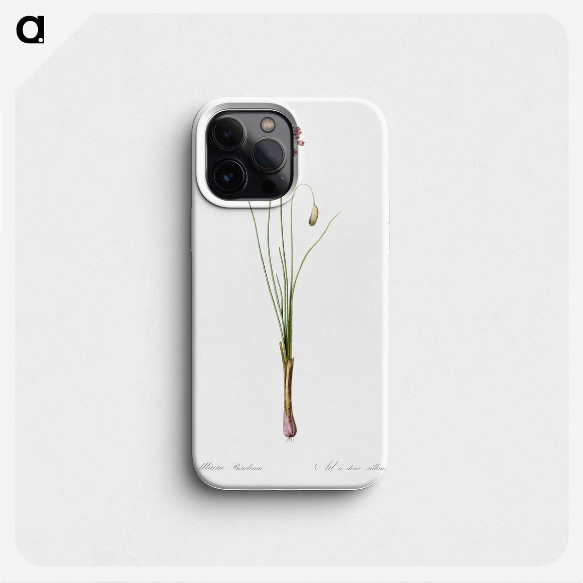 3-50_The-Lilies_phone