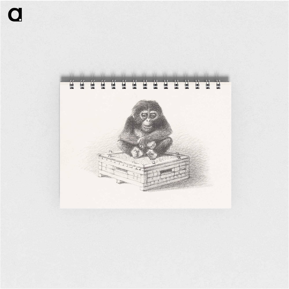 Zittende aap op kist - テオ ヴァン ホイテマ Memo.