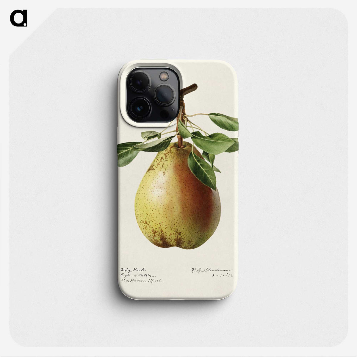 3-50_USDA-Watercolor-Fruit-Painting-Collection_phone