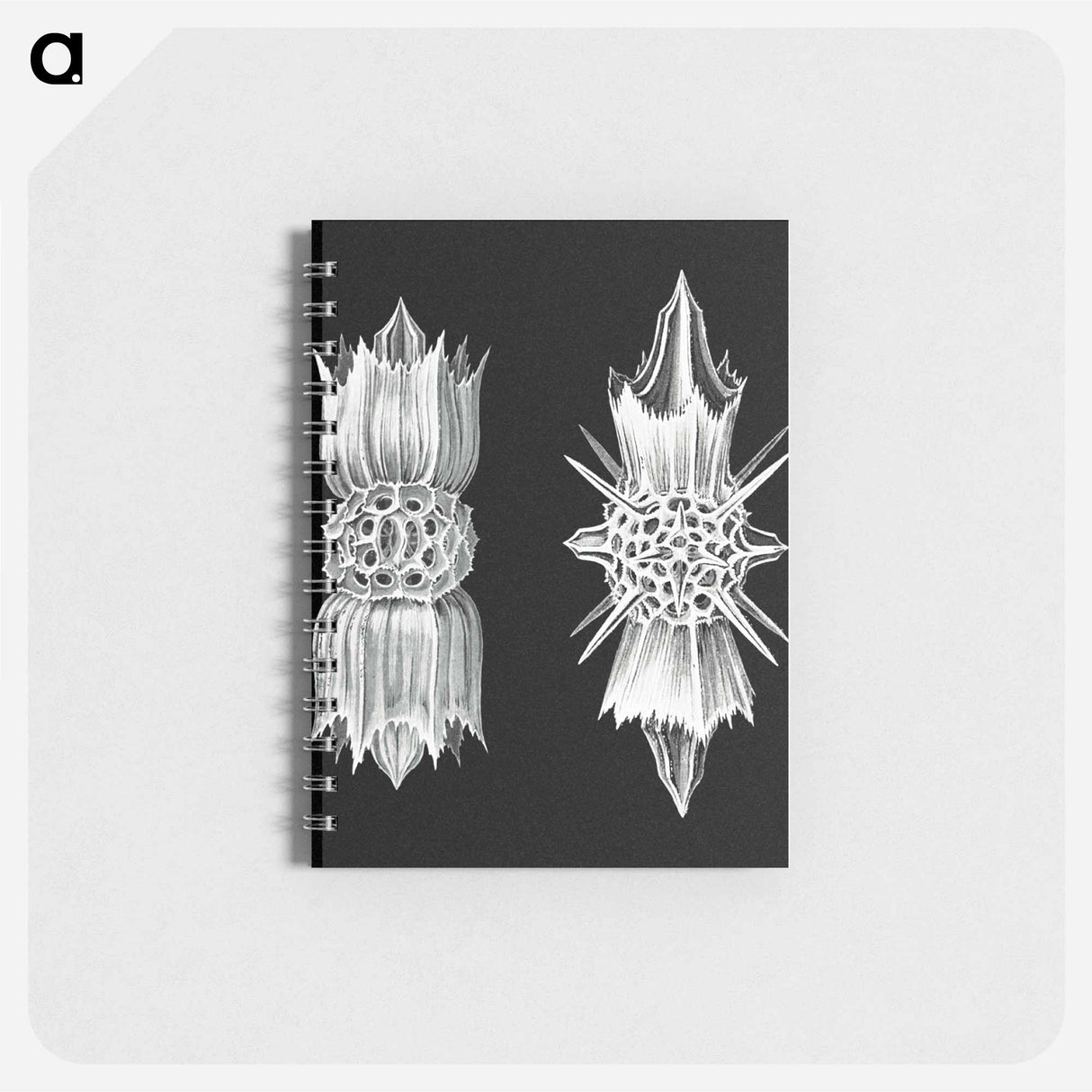 アートメモ帳-Vintage marine life illustration - エルンスト ヘッケル Memo.