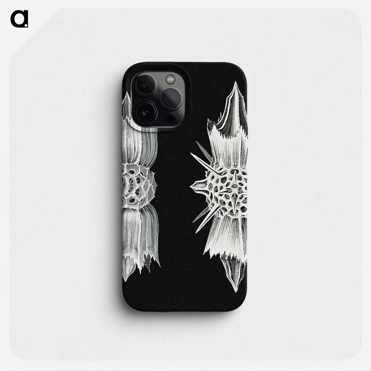 3-51_Ernst-Haeckel_phone