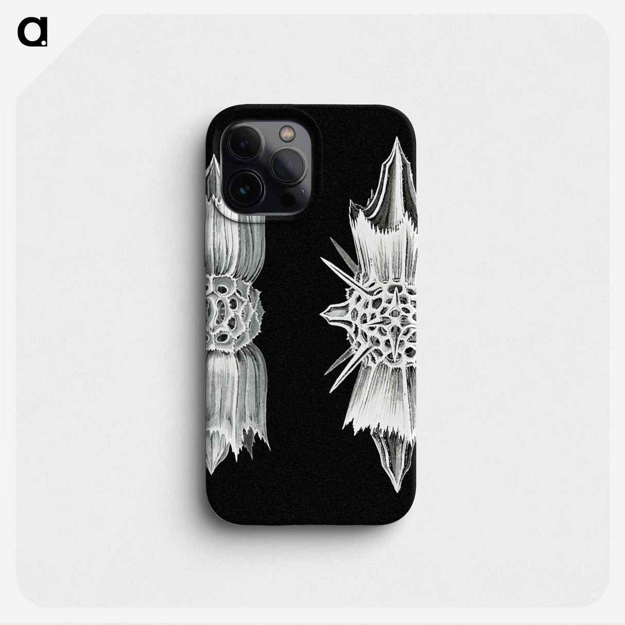 Vintage marine life illustration - エルンスト ヘッケル Phone Case.