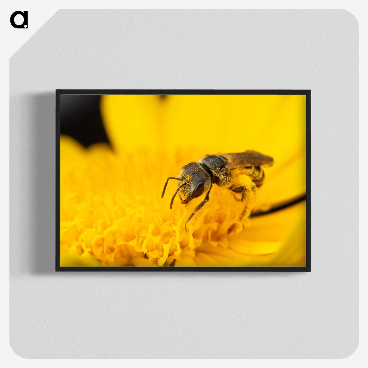 3-51_Insects-Unlocked-Project_blk-crop