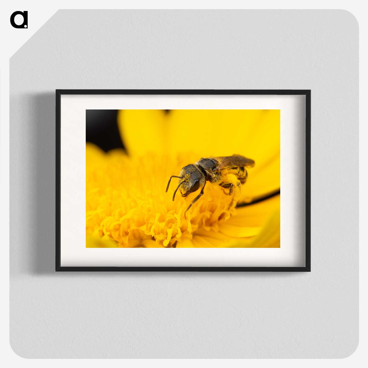3-51_Insects-Unlocked-Project_blk