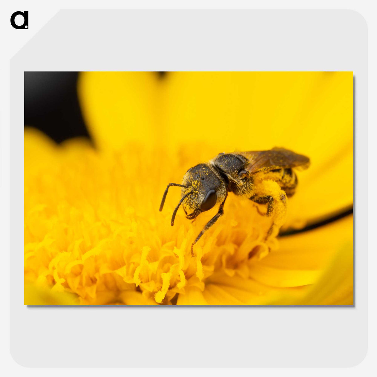 3-51_Insects-Unlocked-Project_picture-crop