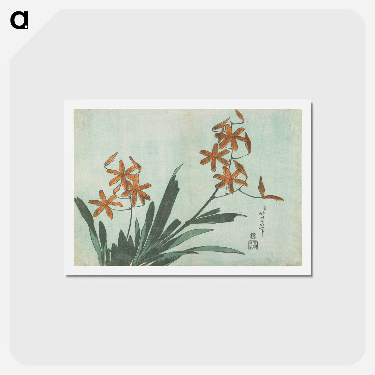 アートポストカード-Blackberry Lily - 葛飾 北斎 Postcard.