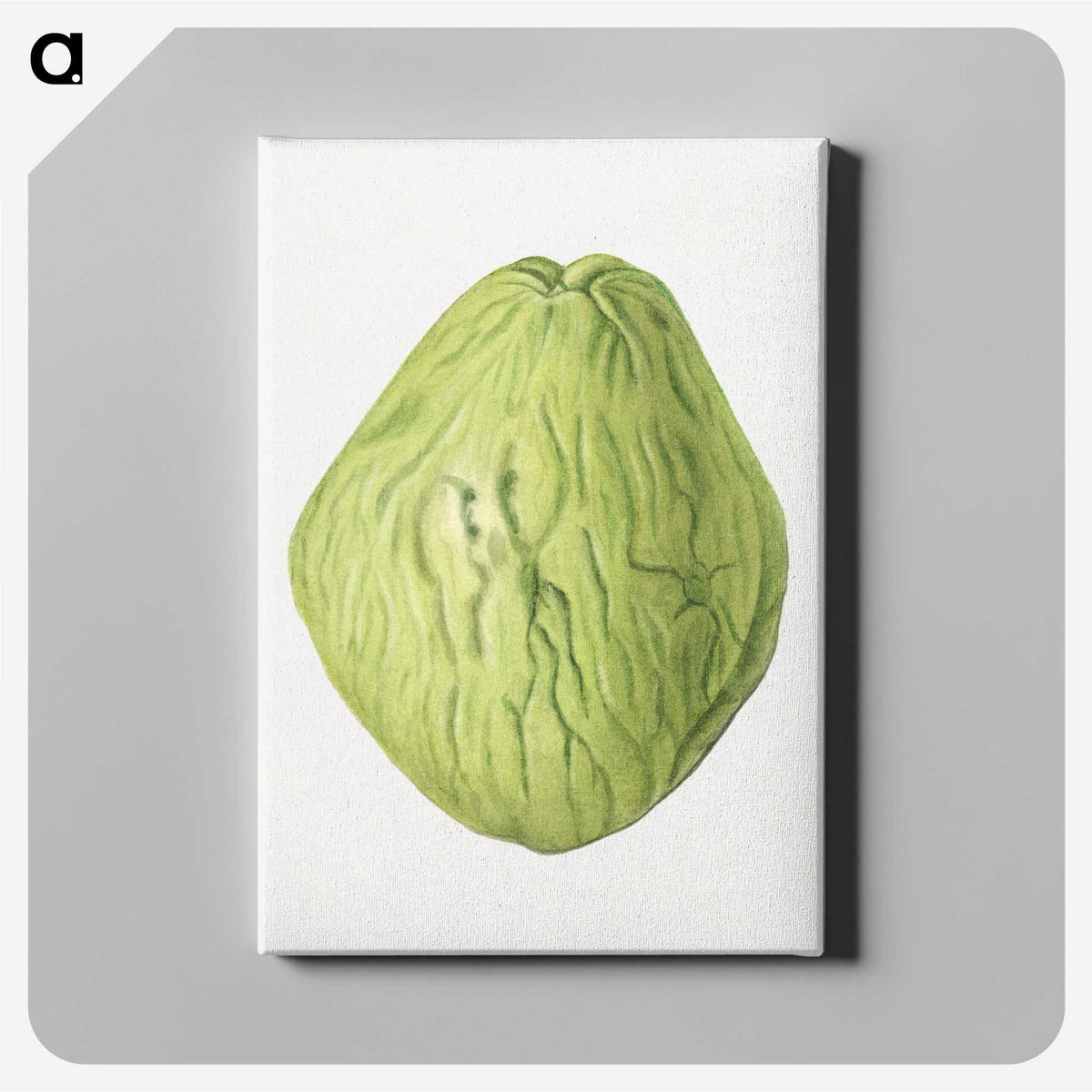 3-51_USDA-Watercolor-Fruit-Painting-Collection_canvas