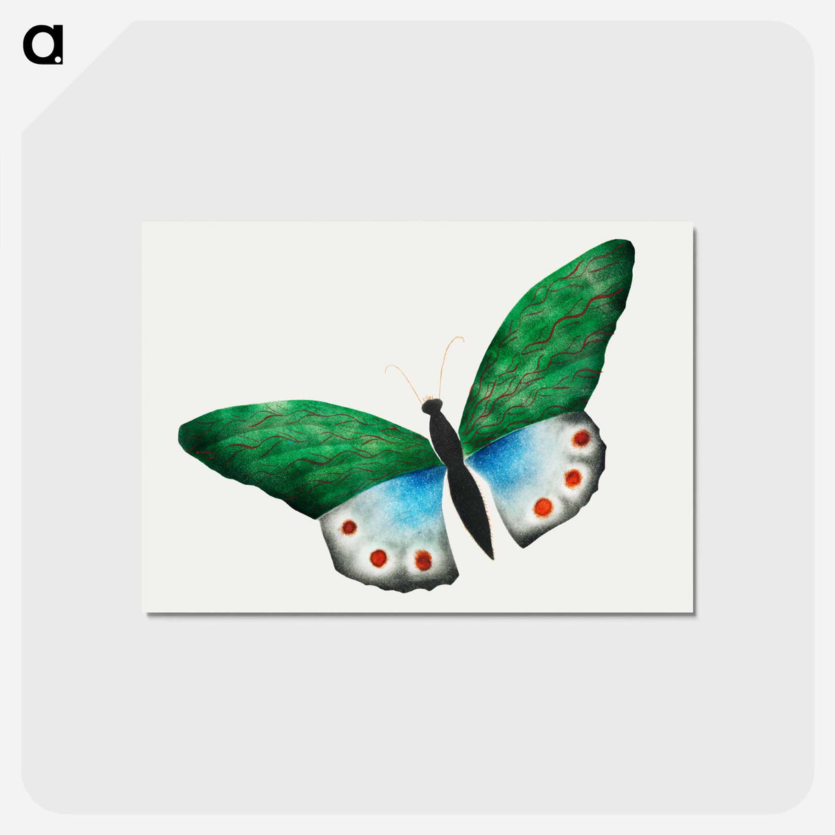 アートポストカード-Butterfly
- クリーブランド美術館 Postcard.