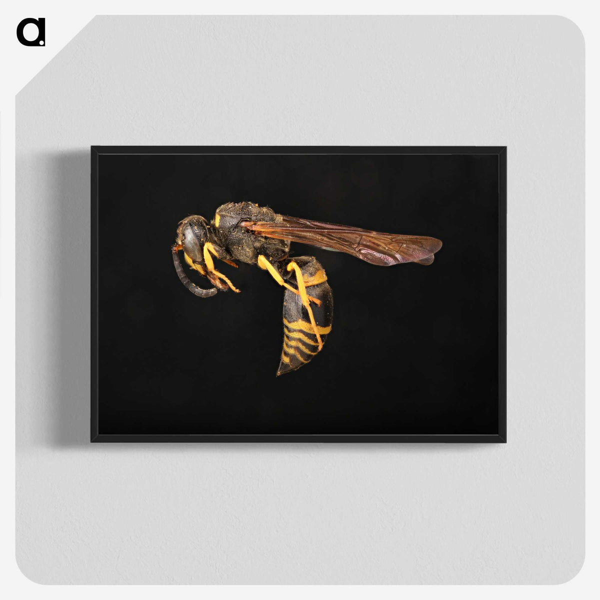 3-52_Insects-Unlocked-Project_blk-crop