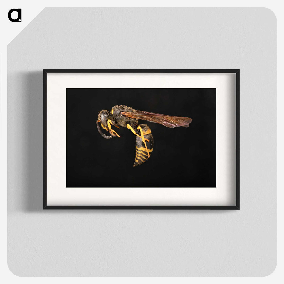 3-52_Insects-Unlocked-Project_blk