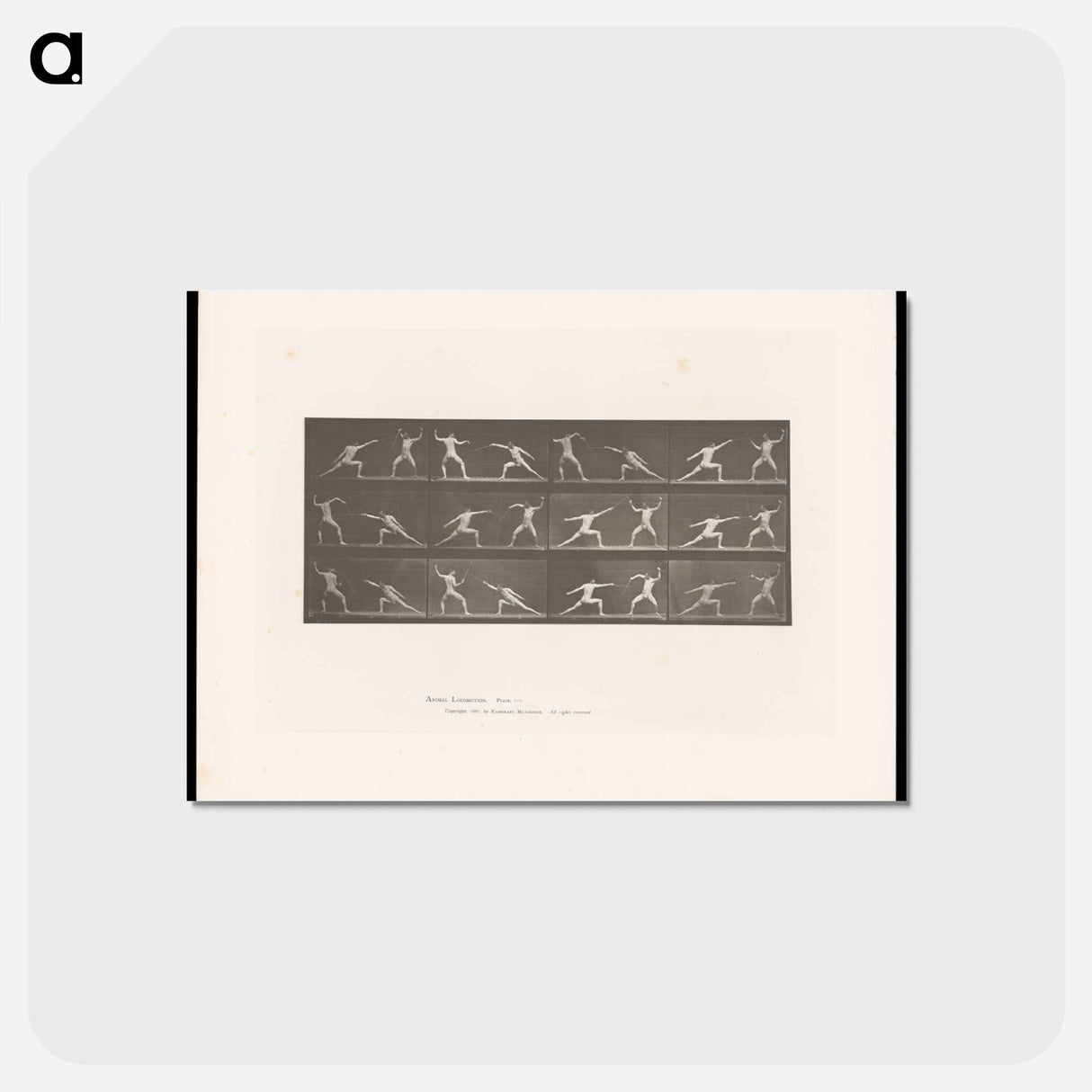 アートポストカード-Fencers in Motion
- エドワード マイブリッジ Postcard.
