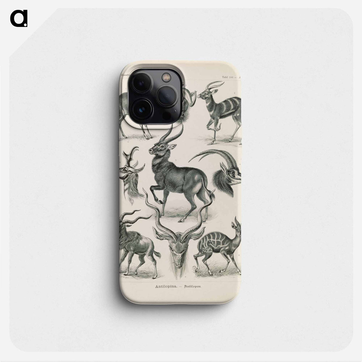 Antelope illustration from Kunstformen der Natur - エルンスト ヘッケル Phone Case.