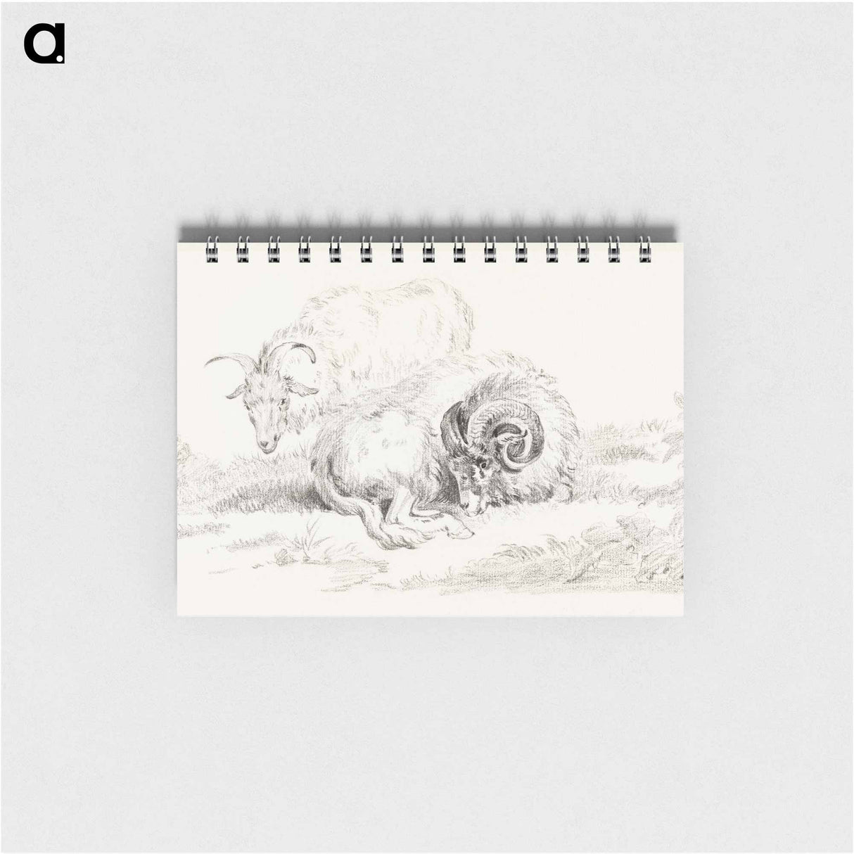 Lying goat and a standing goat - ジャン ベルナール Memo.