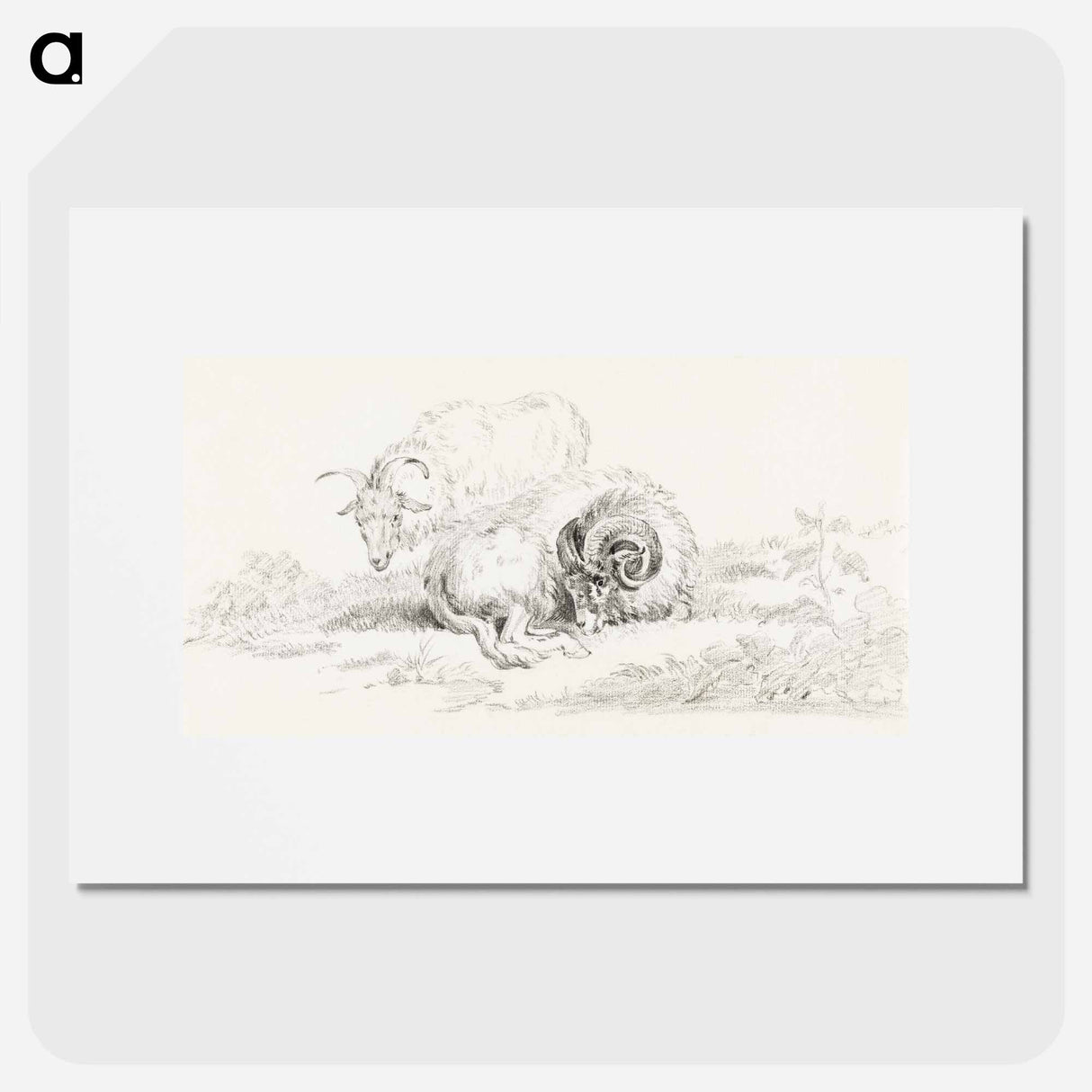 Lying goat and a standing goat - ジャン ベルナール Poster.