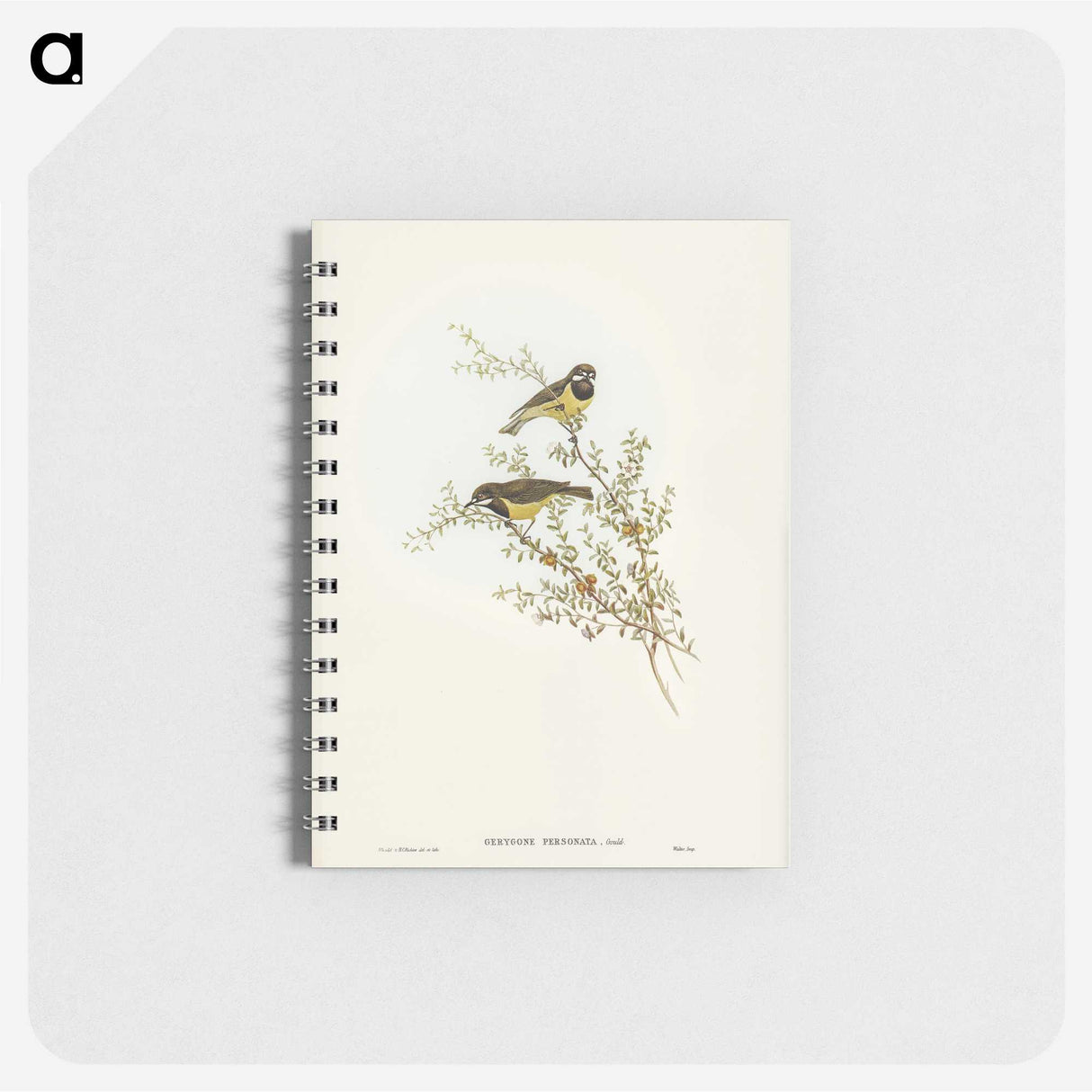3-53_John-Gould_memo