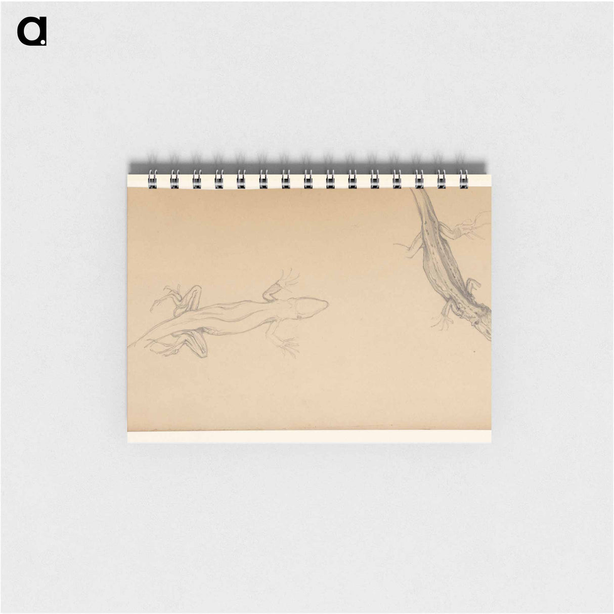 Hagedissen - ユリー デ フラーハ Memo.