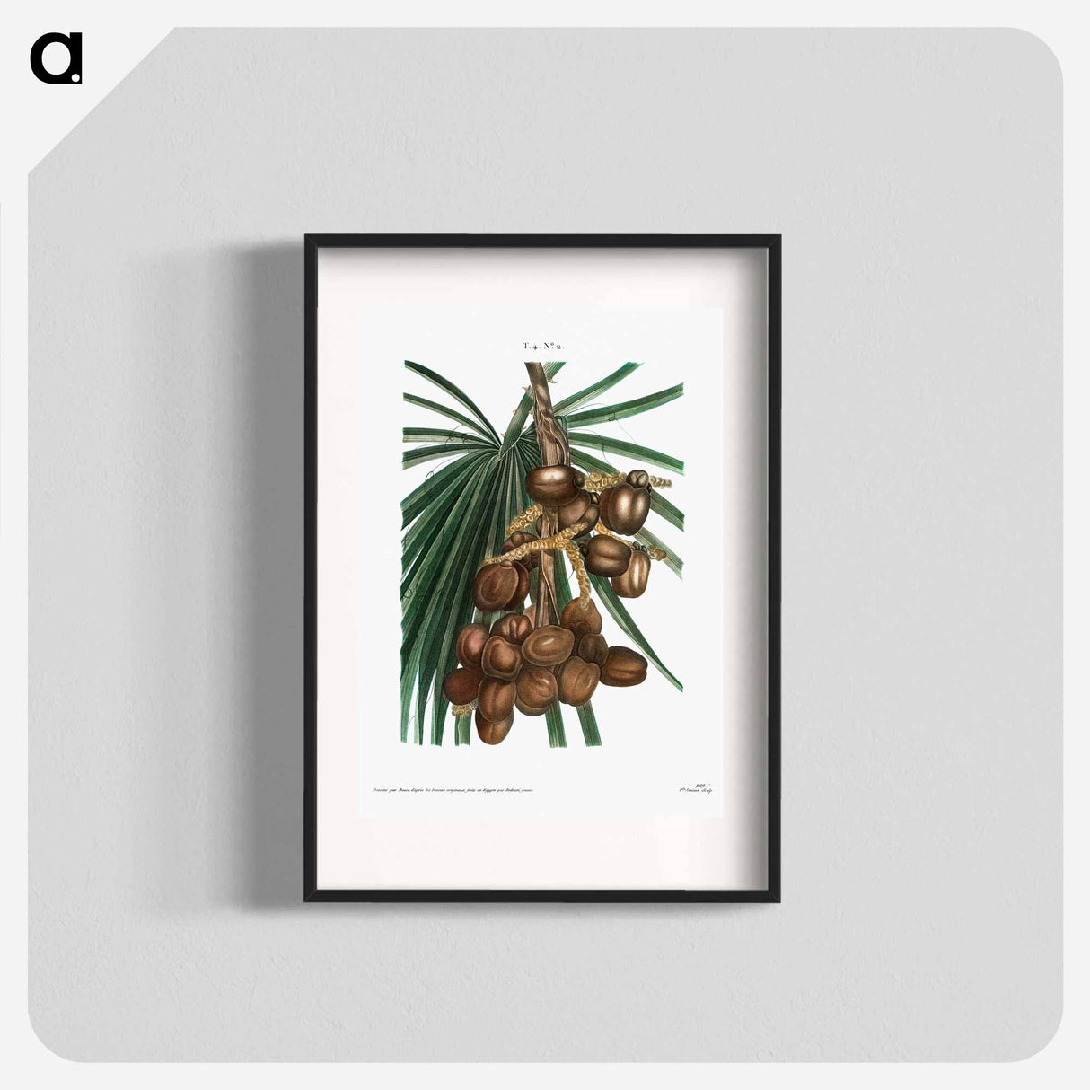 Date palm - Pierre Joseph Redouté Poster.