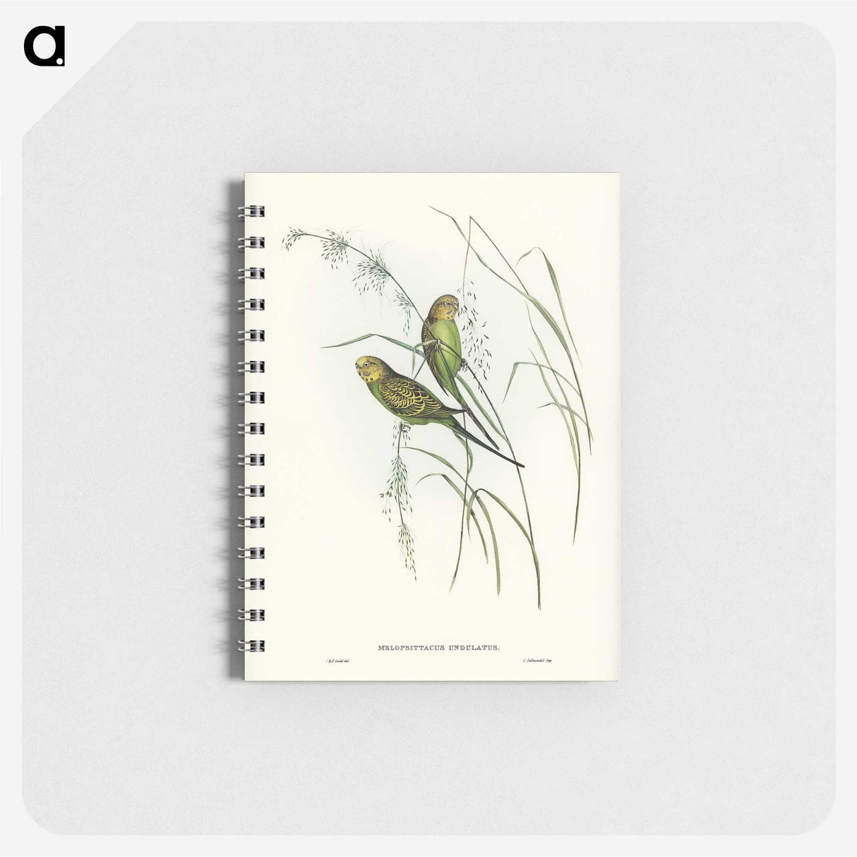 3-55_John-Gould_memo